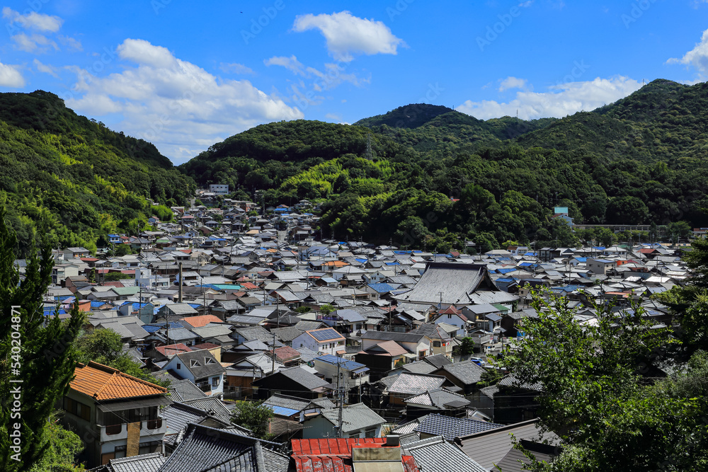 Fototapeta premium 寺のある町