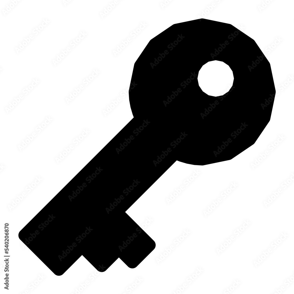 Key Vector Icon Key Vector Icon