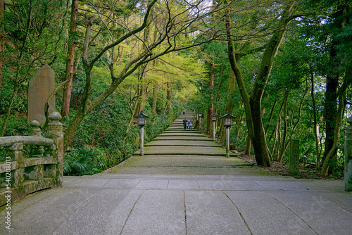 石川 白山比咩神社 表参道の風景