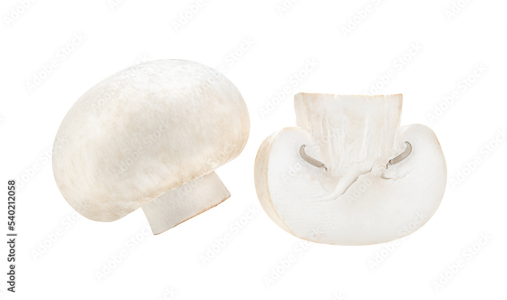 Mushroom champignon isolated on transparent png Mushroom champignon isolated on transparent png