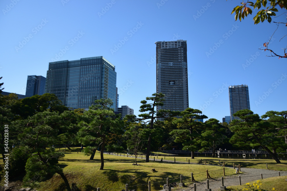Obraz premium 美しい景色が広がる浜離宮庭園