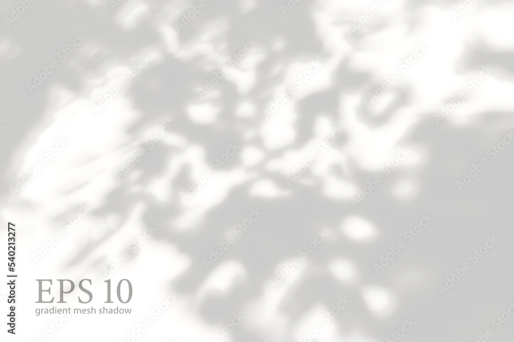 Obraz premium Transparent natural plant shadow. Light effect overlay. Mesh grid. Shadows from branches, plant, foliage and leaves on ground. Presentation your design card, poster Photo realistic vector