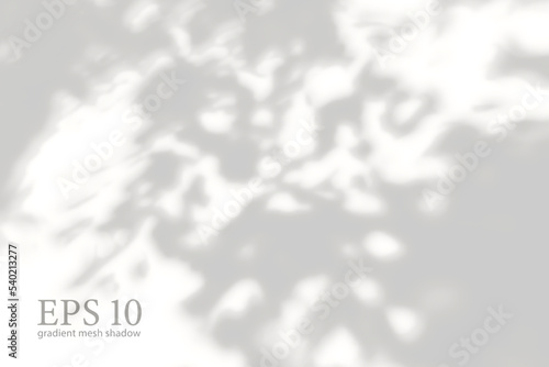 Transparent natural plant shadow. Light effect overlay. Mesh grid. Shadows from branches, plant, foliage and leaves on ground. Presentation your design card, poster Photo realistic vector