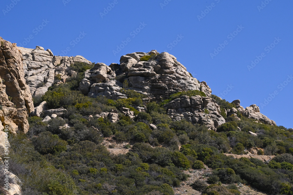 San Rafael Wilderness, Los Padres National Forest