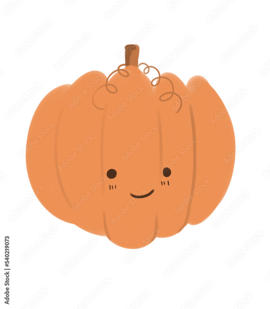 Fototapeta premium The pumpkin with a little twig, smiling emoji, color illustration