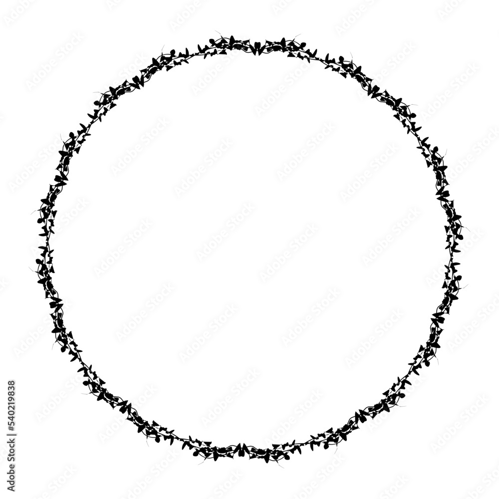 Floral oval frames. Botanical wreath design. Vector isolated illustrations. Floral oval frames. Botanical wreath design. Vector isolated illustrations.
