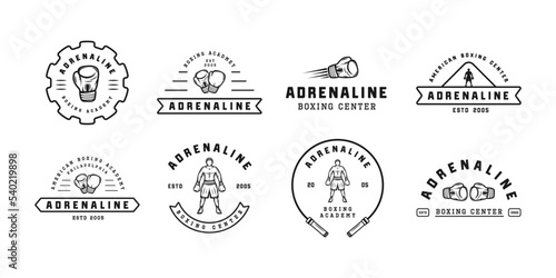 Boxing and martial arts logo badges and labels in vintage style. Motivational posters with inspirational quotes. Vector