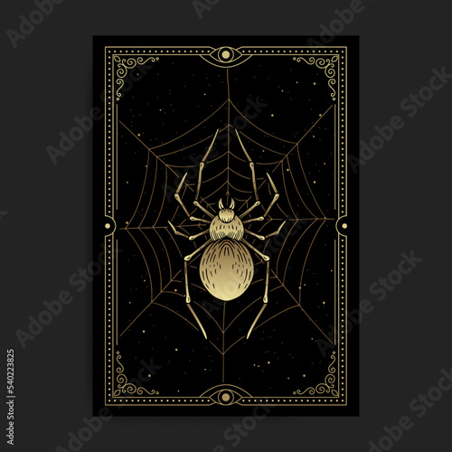 Mystical or magical gold spider on celestial web