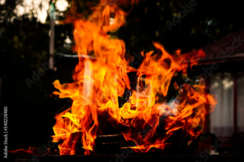 Brightly burning wooden logs with yellow hot flames of fire. Sparkling bonfire in the grill on firewood. Firewood burning on grill. Open fire. Close up view with shallow DOF.