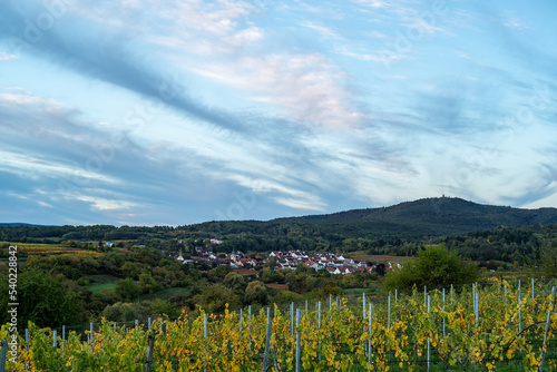 weindorf leistadt am frühen morgen photo