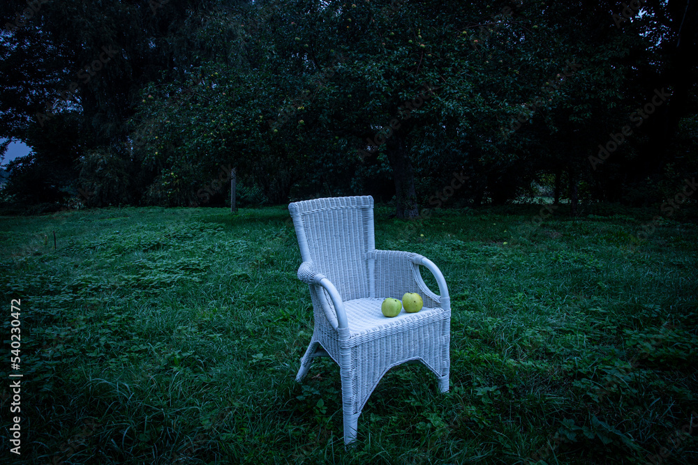 white chair on a green meadow