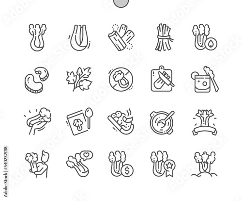 Celery. Fresh organic nature vegetable. Cooking and menu for cafe. Food shop, supermarket. Pixel Perfect Vector Thin Line Icons. Simple Minimal Pictogram.