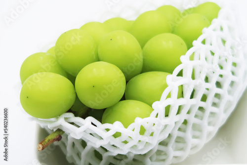 シャインマスカット