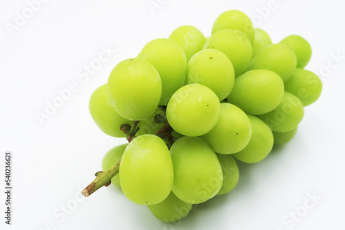 シャインマスカット