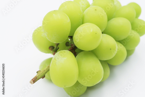 シャインマスカット