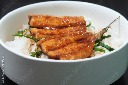 さんまの蒲焼き丼