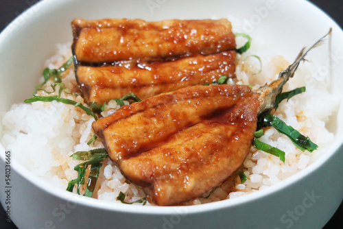 さんまの蒲焼き丼