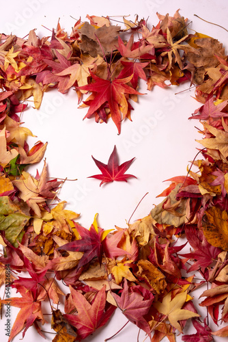Autumn background, heart with autumn colored leaves, isolated on white background with one red leaf