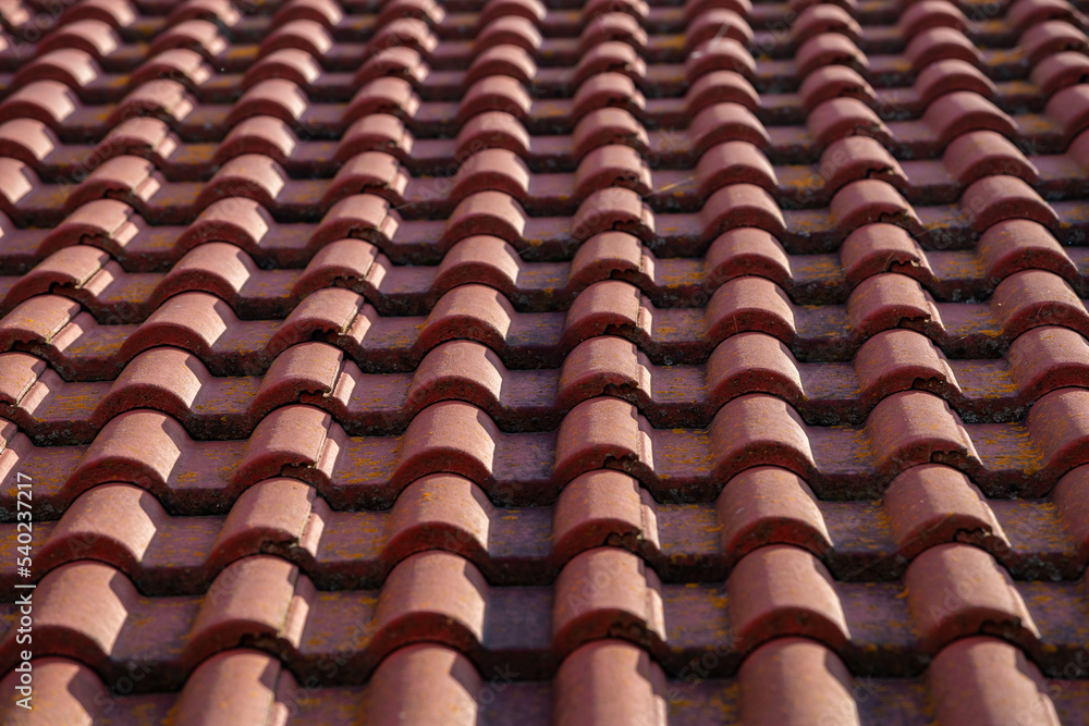 Tiles on the rooftop on the north side, visible nitre , saltpetre on the tiles. Tiles on the rooftop on the north side, visible nitre , saltpetre on the tiles.