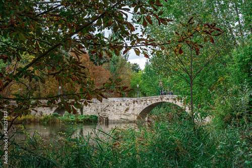 Roman bridge of Parque Sotillo in Palencia. Spain photo