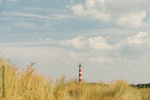 The Lighthouse on Ameland (Bornrif) between the beautiful dune grass photo