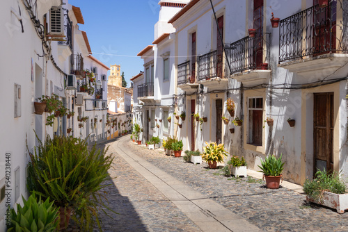 Fototapeta Naklejka Na Ścianę i Meble -  Portugal, August 2022: Traditional cobbled street with white houses and plants on the street, Castelo de Moura street, Algarve, Portugal