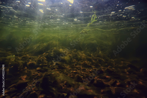underwater fresh water green background with sun rays under, water © kichigin19