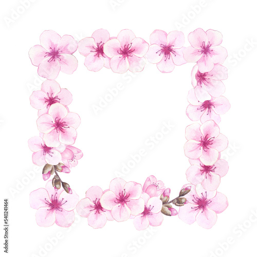 Watercolor cherry, almond blossom or sakura. Hand drawn illustration of pink flowers. Floral border for wedding invitation, design, packaging, label. Japanese blooming plant.