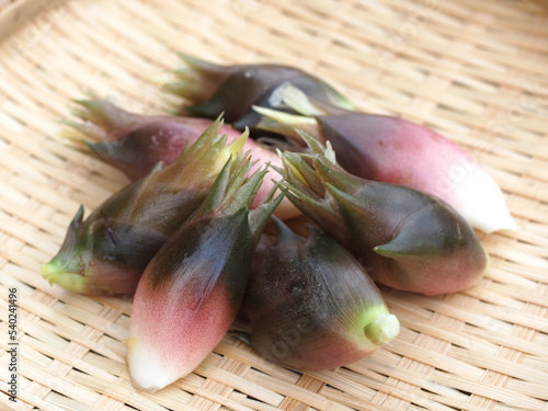 ざるに盛った秋ミョウガ