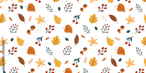 Set of cute leaf, fruit for autumn theme in pattern background design. Collection of simple cartoon of nature hand drawn illustration.	