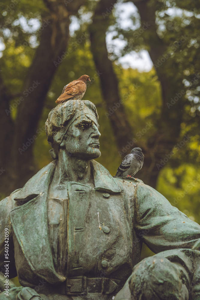 Pidgeons on a statue isolated