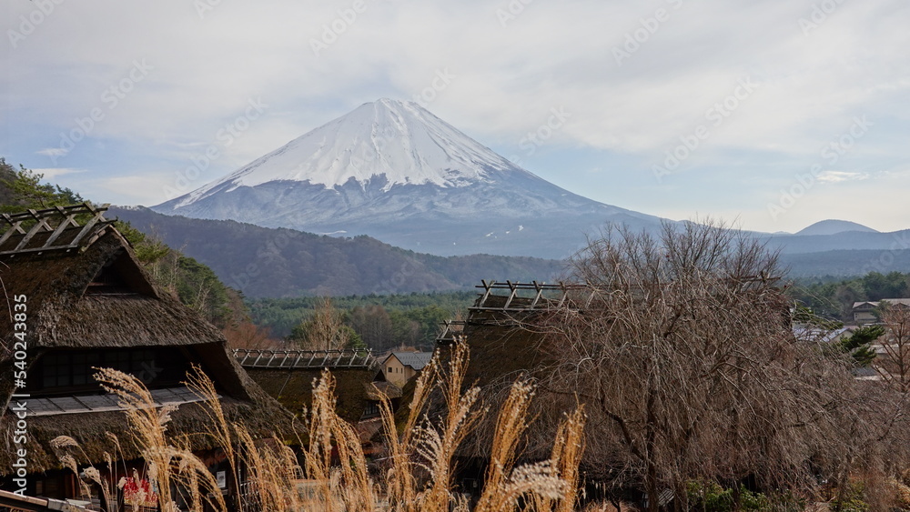 Obraz premium 茅葺き屋根の古民家の向こうに見える冠雪の富士山(北側・西湖から臨む) 6859
