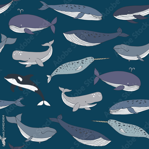 Whale sea animal vector seamless pattern.