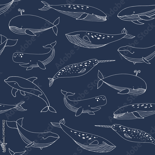 Whale sea animal vector seamless pattern.