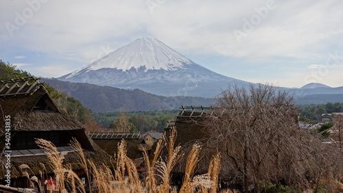 茅葺き屋根の古民家の向こうに見える冠雪の富士山(北側・西湖から臨む) 6859