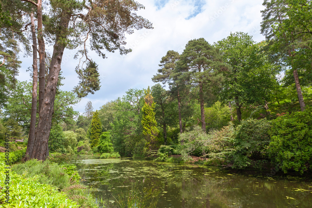 Lake at Leonardslee Gardens, West Sussex, England, UK