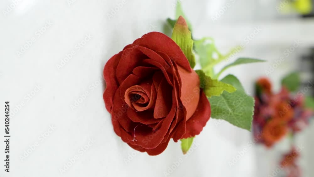 Rose view on marble countertop Rose view on marble countertop