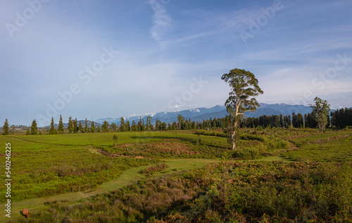 Fresh green plateau in front of hill under sky.