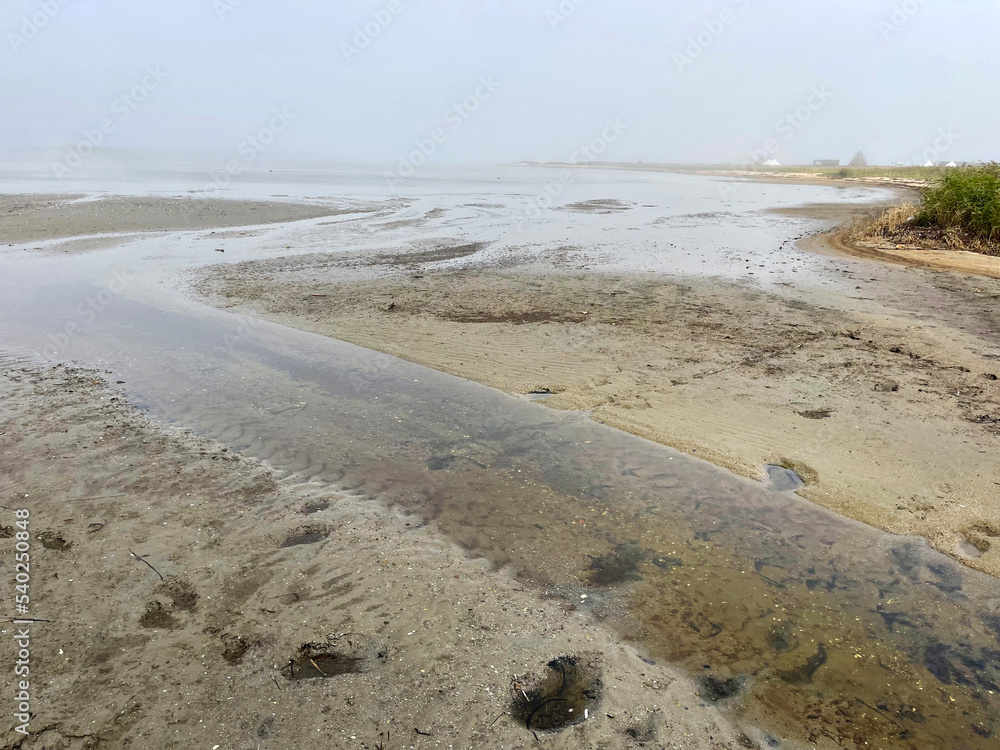 Vladivostok, Akhlestysheva Bay on Russkiy Island near the city beach in autumn in the fog Vladivostok, Akhlestysheva Bay on Russkiy Island near the city beach in autumn in the fog