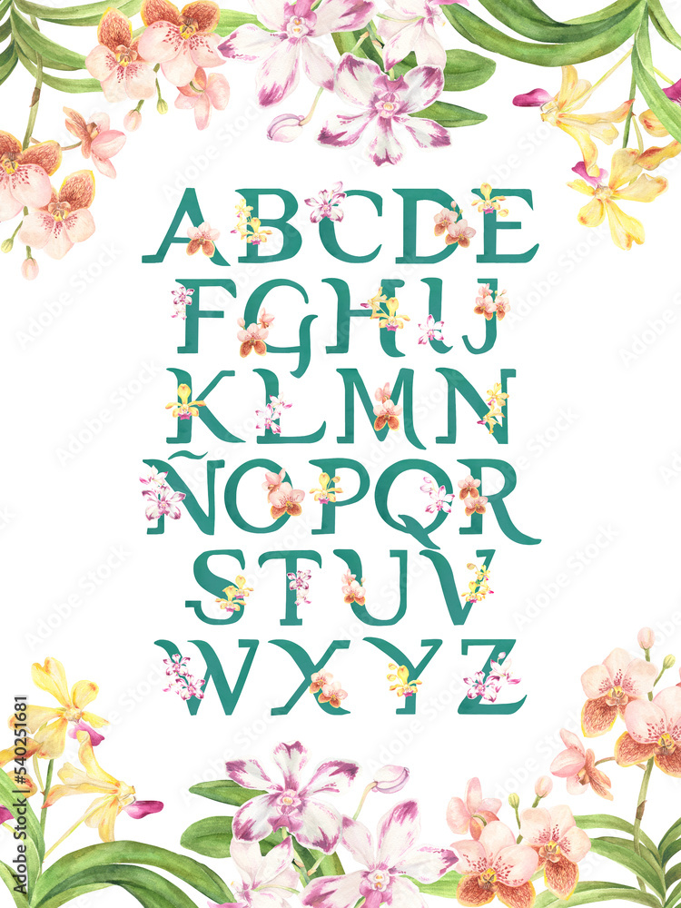 Philippine vanda orchid alphabet poster with orchid border Philippine vanda orchid alphabet poster with orchid border