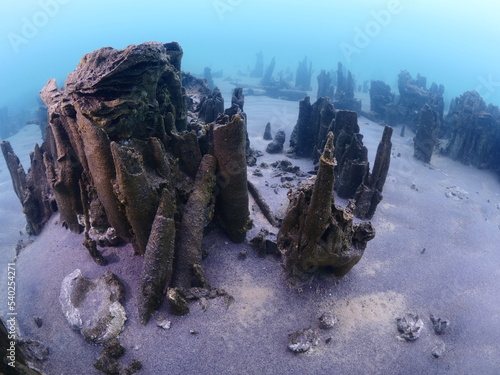 microbialites  underwater lake looks like city with towers strange scenery abstract photo