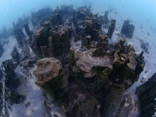 microbialites  underwater lake looks like city with towers strange scenery abstract photo