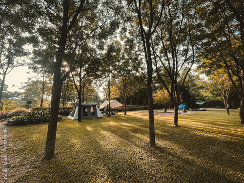 Tents Camping area, camping landscape. Natural area with big trees and grass.