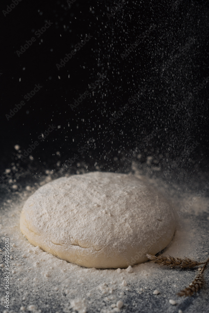 Raised piece of dough for making Raised piece of dough for making