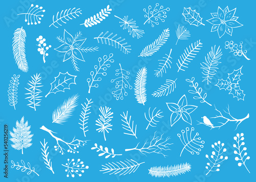  hand drawn outlined silhouettes winter foliage items, branches twigs, flowers , festive seasonal vector illustration graphic design set