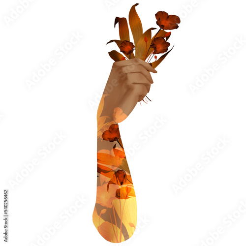 Hand with flowers, vintage style, transparent background