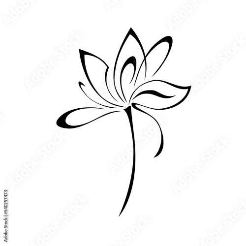 ornament 2485. one stylized blooming flower on a short stalk without leaves. graphic decor