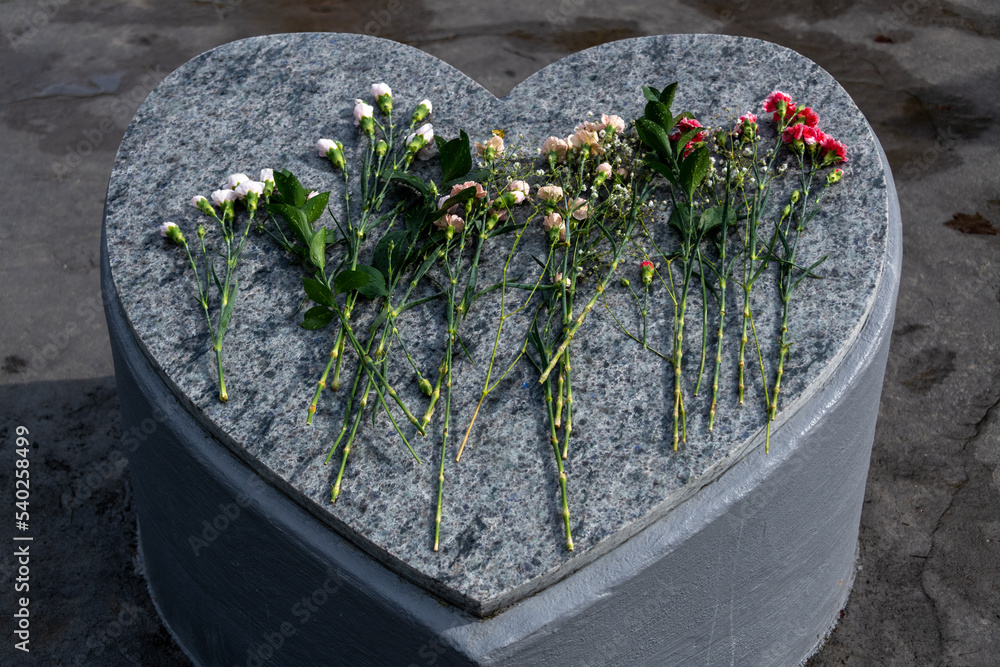 A large heart shaped grey granite blank headstone. The monument has small black flecks on it. The top and sides are smooth. There are multiple long stemmed carnations both white and pink on top. A large heart shaped grey granite blank headstone. The monument has small black flecks on it. The top and sides are smooth. There are multiple long stemmed carnations both white and pink on top.