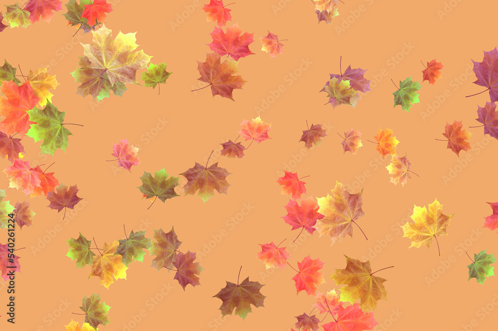 autumn leaves background autumn leaves background