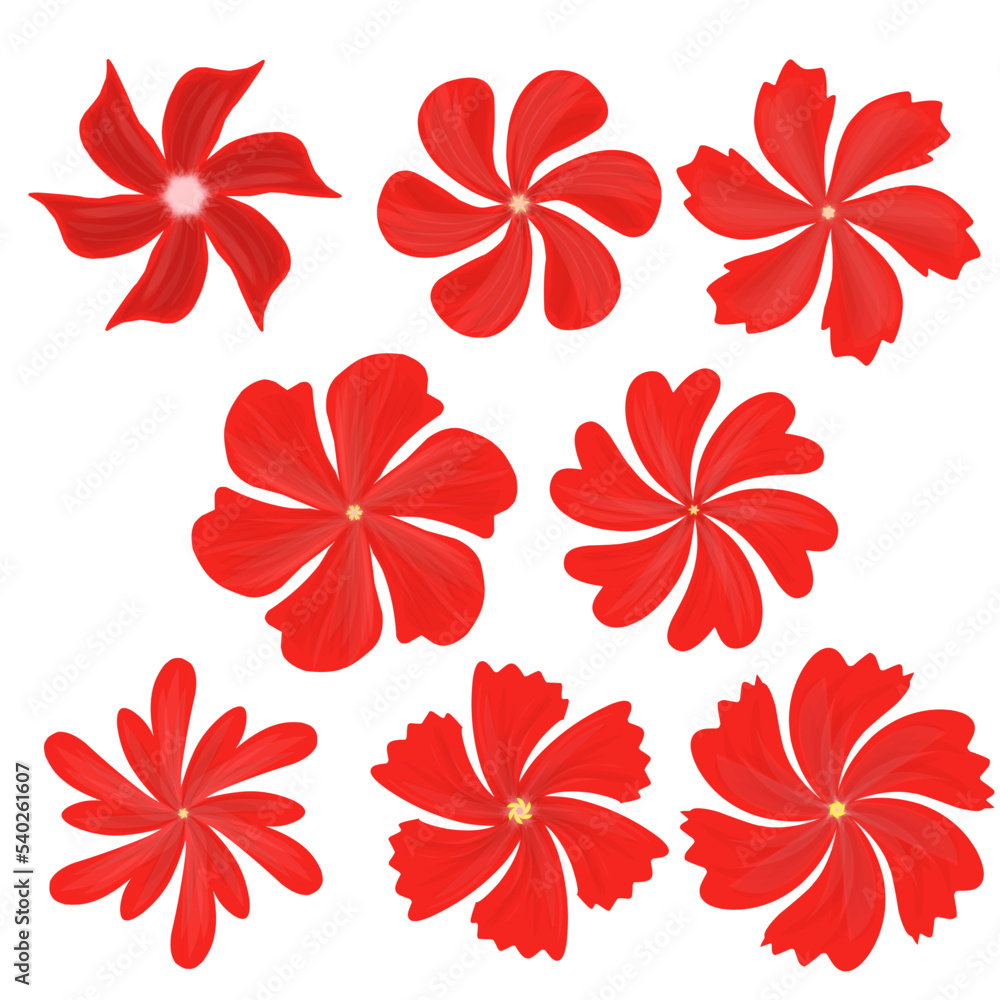 Fototapeta premium Set of red flowers